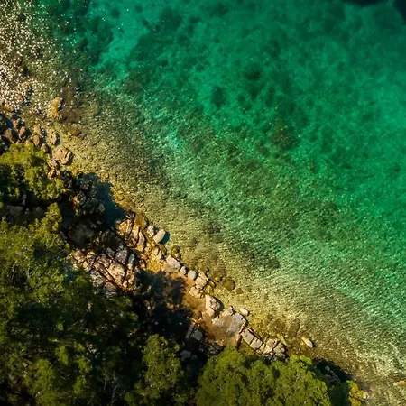 Valamar Amicor Otel 4*