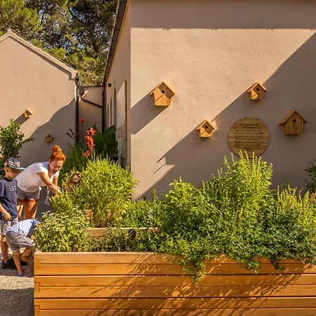 Valamar Amicor Stari Grad (Hvar)