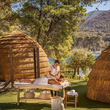 ホテル Valamar Amicor 4*