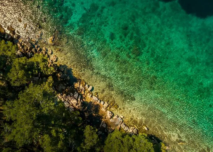 Valamar Amicor Hotel 4*