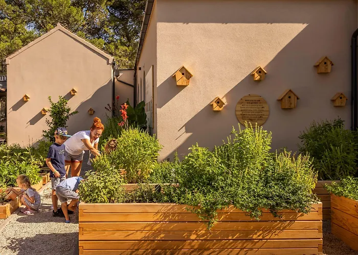 Hotel Valamar Amicor Stari Grad (Hvar)