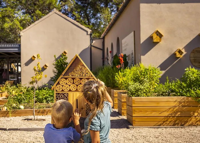 Valamar Amicor 4* Stari Grad (Hvar)